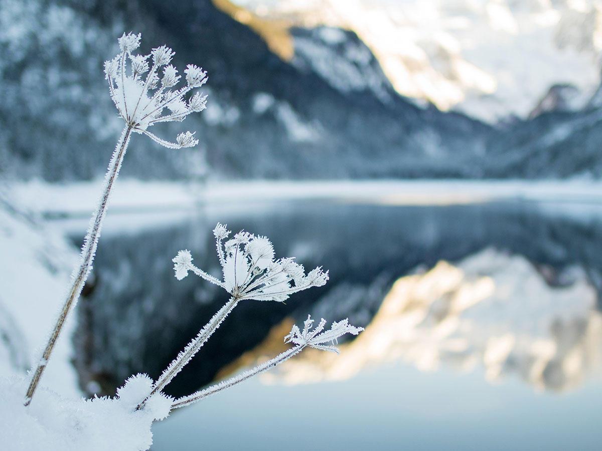 Gosausee Oberösterreich Winter Eis