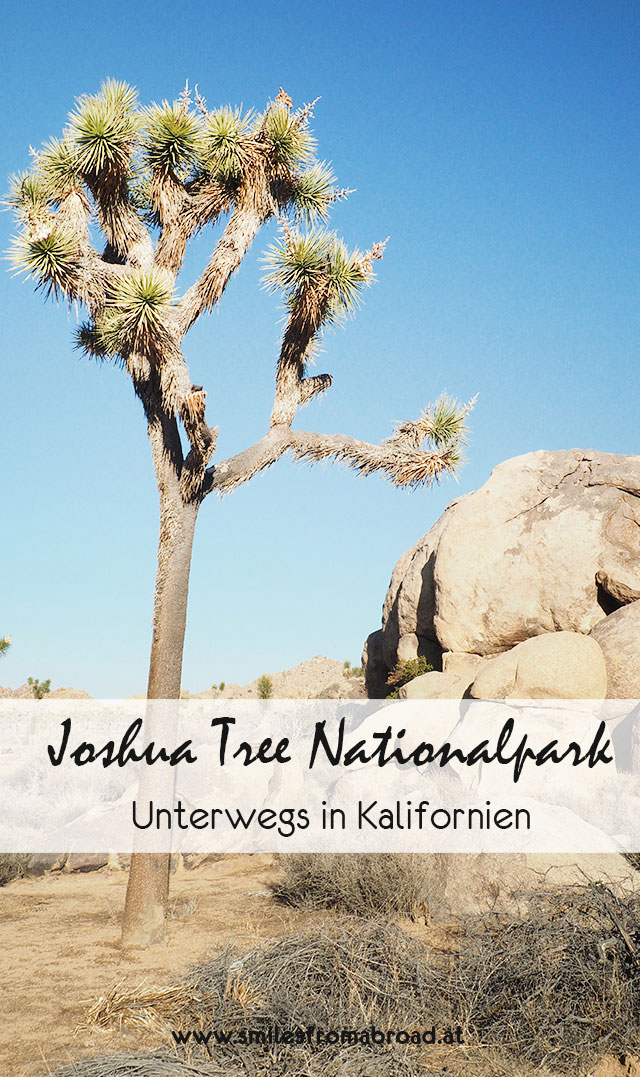 joshuatree2 - Joshua Tree Nationalpark - Felsformationen, Joshua Tree Bäume und wunderbare Natur