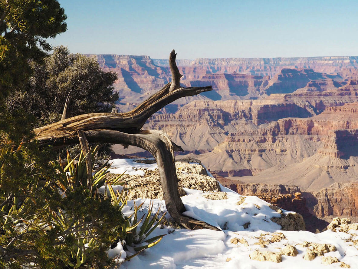 grand canyon 11 neu - Ein atemberaubendes Weltwunder - der Grand Canyon