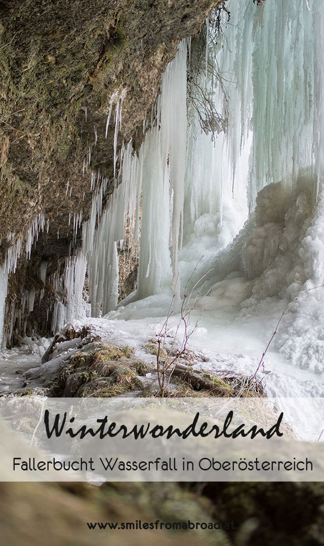 fallerbucht3 - Der Fallerbucht Wasserfall in Oberösterreich im Winter - eine bizarre Eiswelt