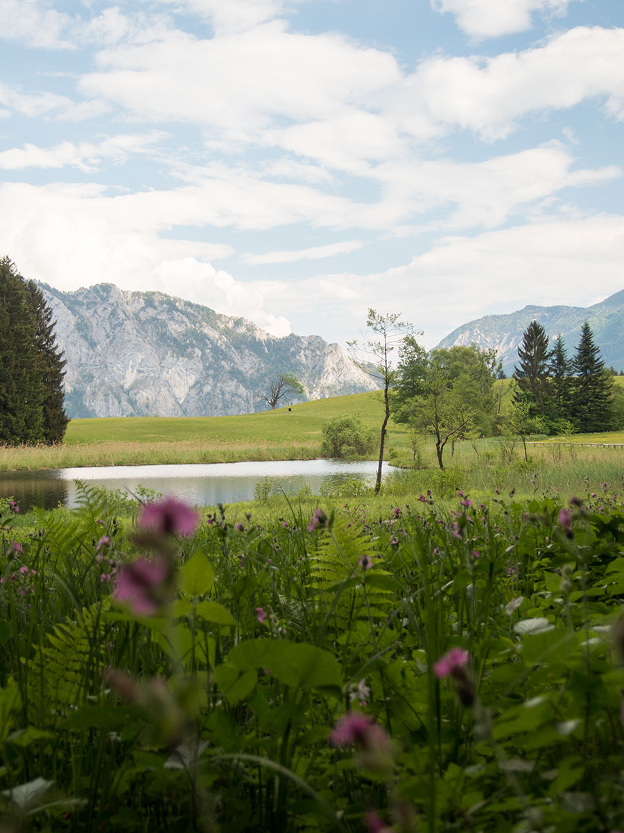 Egelsee im Salzkammergut am Attersee