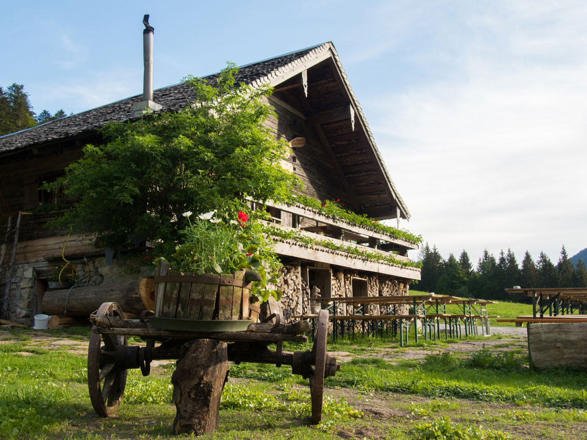 gruberalm mayerlehenhuette almuebernachtung fuschl 10 - Almsommer - Übernachtung auf der Gruberalm in der Region Fuschlsee Salzkammergut