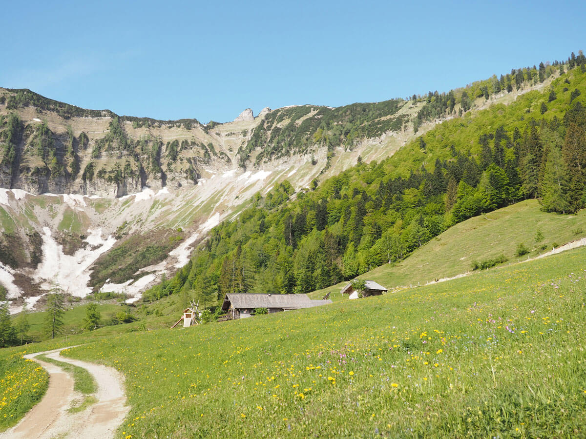 gruberalm mayerlehenhuette almuebernachtung fuschl 16 - Almsommer - Übernachtung auf der Gruberalm in der Region Fuschlsee Salzkammergut