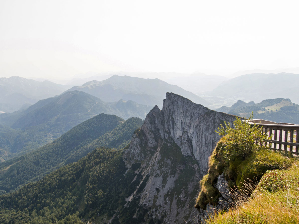 Ausblick vom Schafberg Gipfel