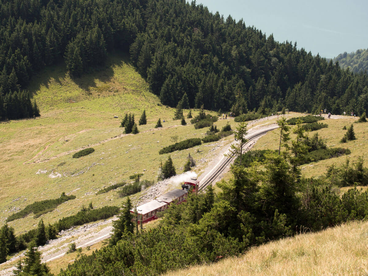 Die Schafbergbahn in voller Fahrt