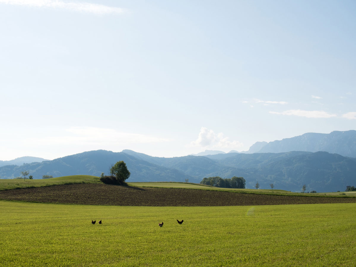 Westwanderweg Attersee