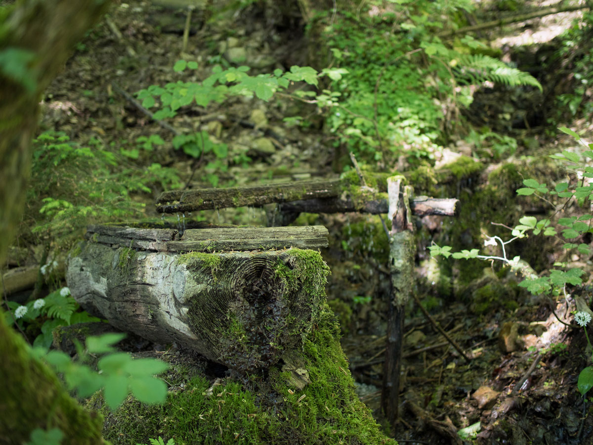 westwanderweg attersee 10 - Der Westwanderweg am Attersee: von Nussdorf bis Stockwinkl