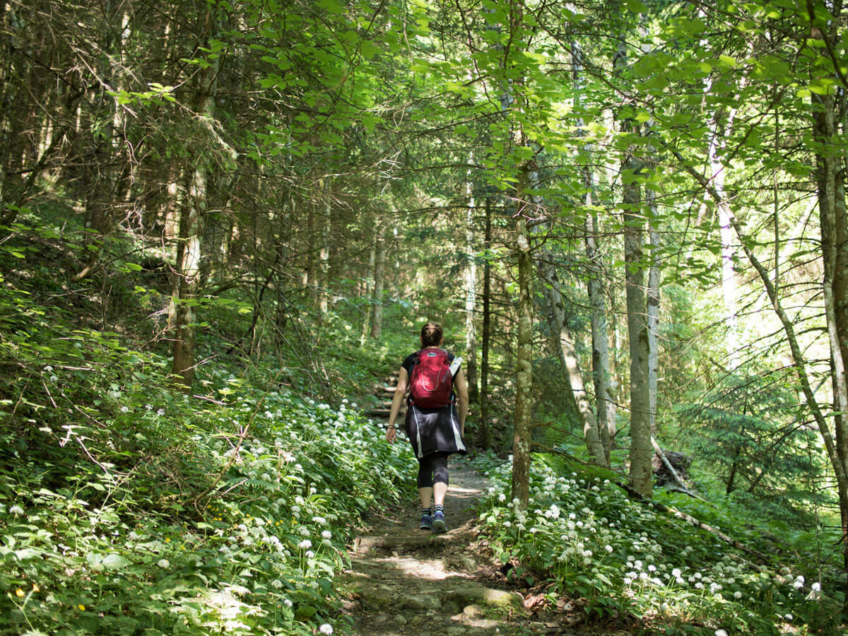 westwanderweg attersee 12 - Der Westwanderweg am Attersee: von Nussdorf bis Stockwinkl