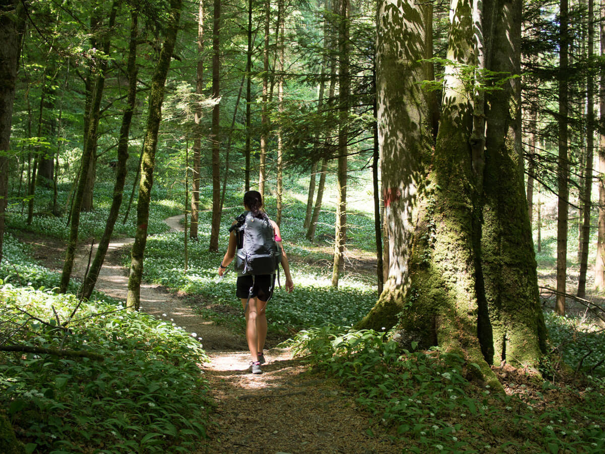 Wandern Attersee Salzkammergut