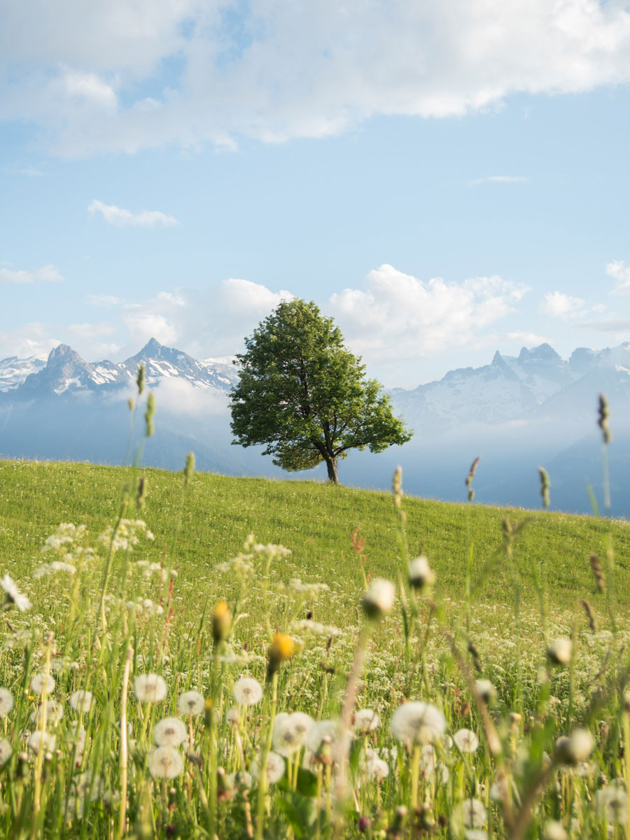 Fritzensee Montafon in Vorarlberg