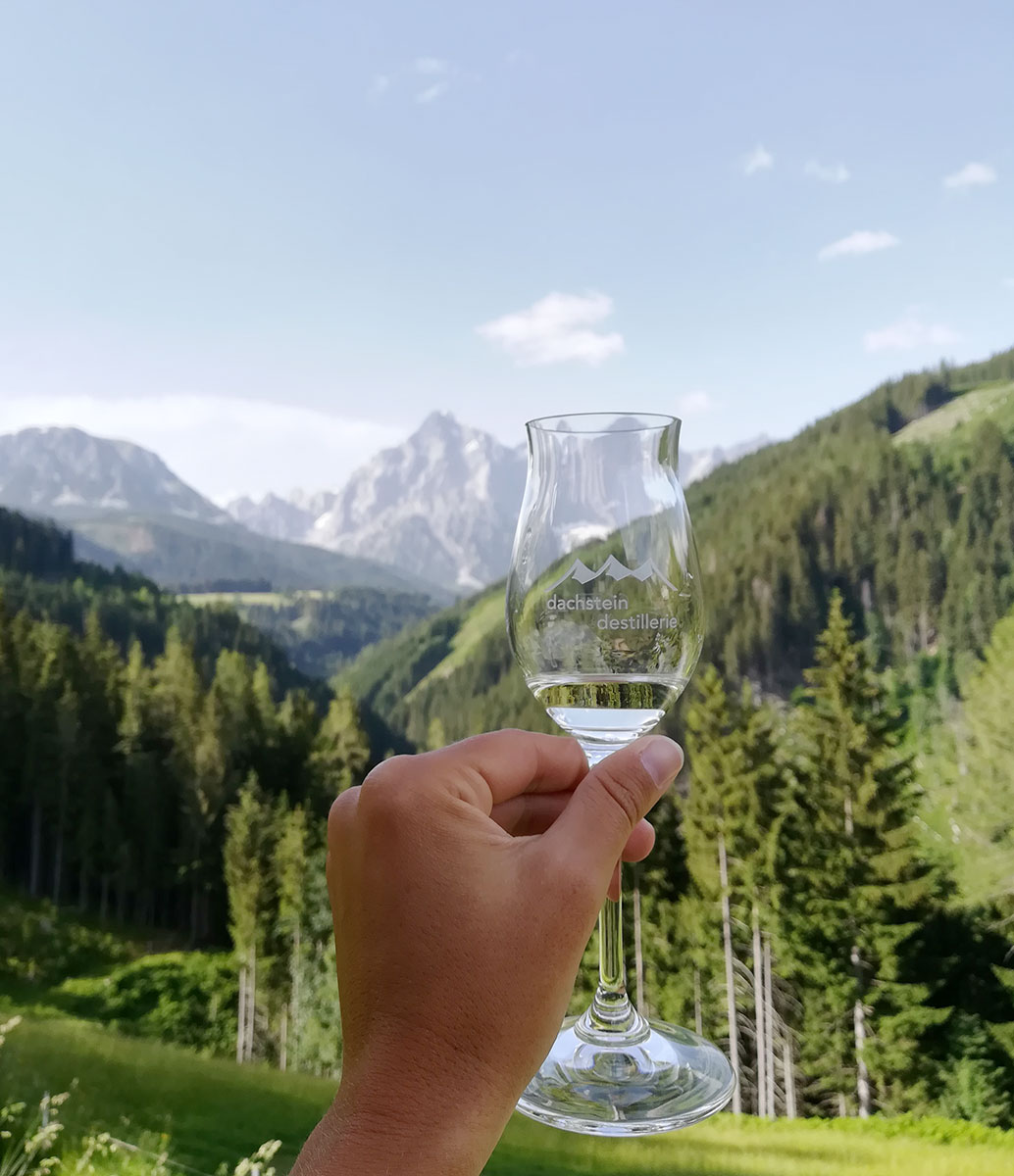 Dachstein Destillerie Salzburg