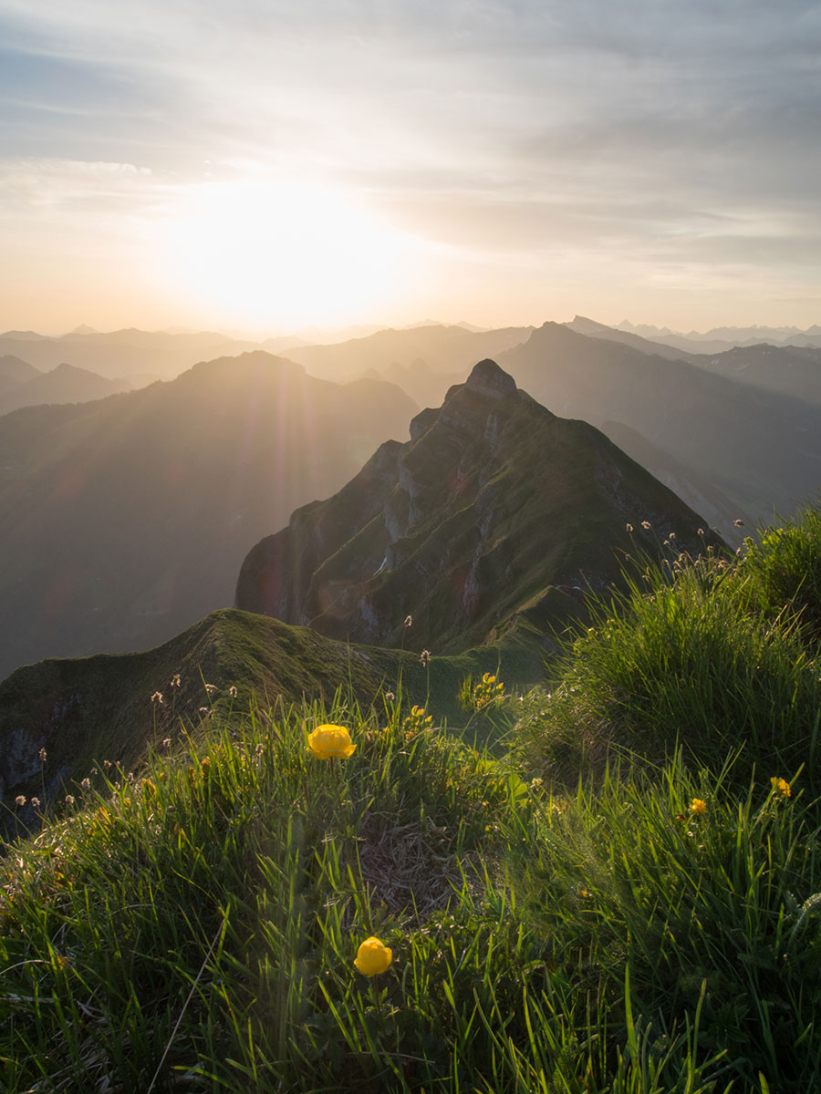 Wandern Kanisfluh Bregenzerwald Sonnenaufgang Wandern Kanisfluh Bregenzerwald Sonnenaufgang