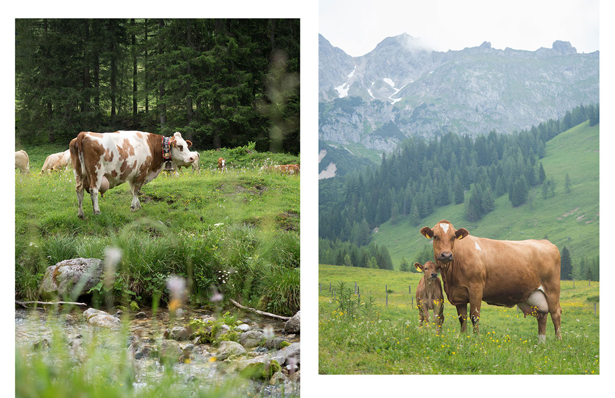 salzburger sportwelt bloghuette 3 - Highlights im Salzburgerland - Aktivitäten und Sehenswertes in der Salzburger Sportwelt