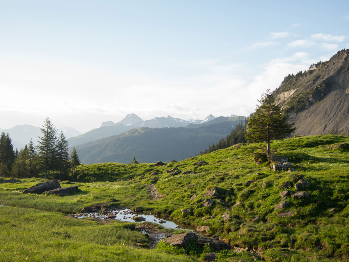 Wandern Kanisfluh Bregenzerwald Wandern Kanisfluh Bregenzerwald