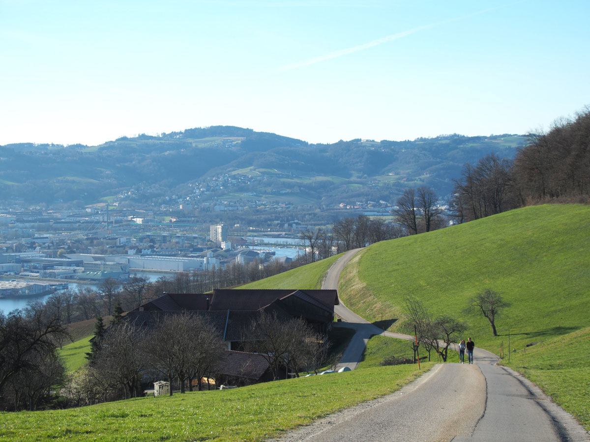 Pfenningberg Linz Wandern