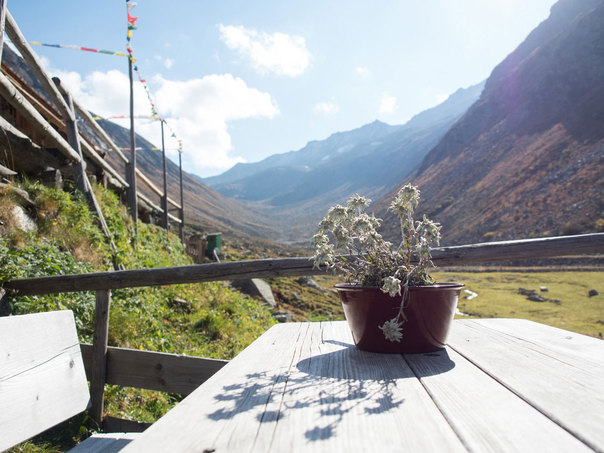 hohenaualm klein tibet zillertal tirol 10 - Klein Tibet "Hohenaualm" im Zillertal – Einfach ankommen und genießen