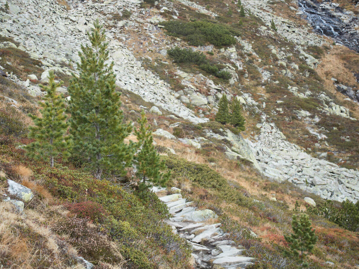 wandern olpererhuette zillertal tirol 24 - Wanderung zur Olpererhütte im Zillertal - Ein fantastischer Ausblick – Picture Diary