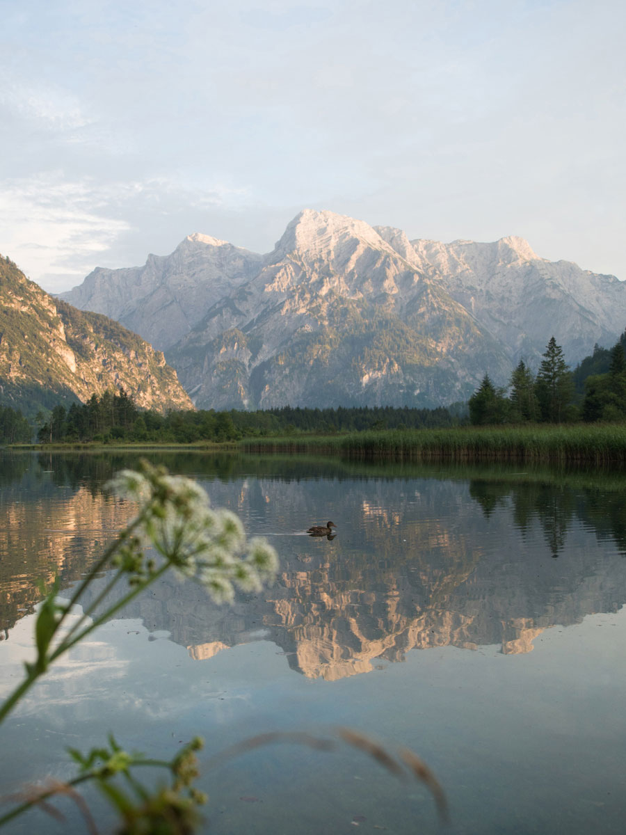 almsee - Die besten Bilder im zweiten Halbjahr 2018 - Fotoparade