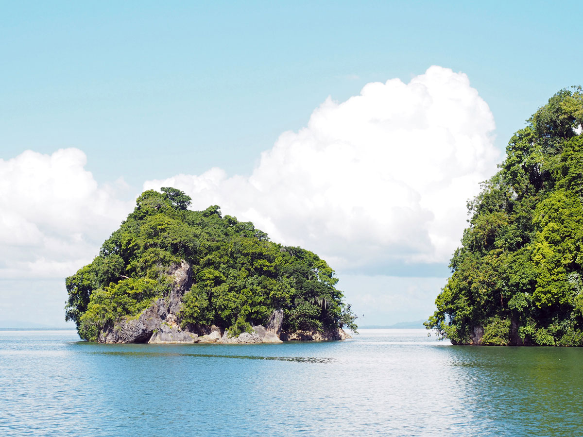 los haitises national park samana dominikanische republik 21 - Los Haitises National Park in Samana in der dominikanischen Republik