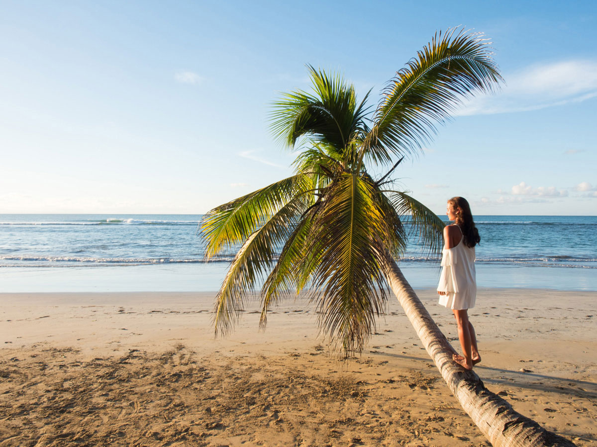 viva wyndham v samana dom rep beach - Ausflugstipps & Sehenswertes auf der Halbinsel Samana in der dominikanischen Republik