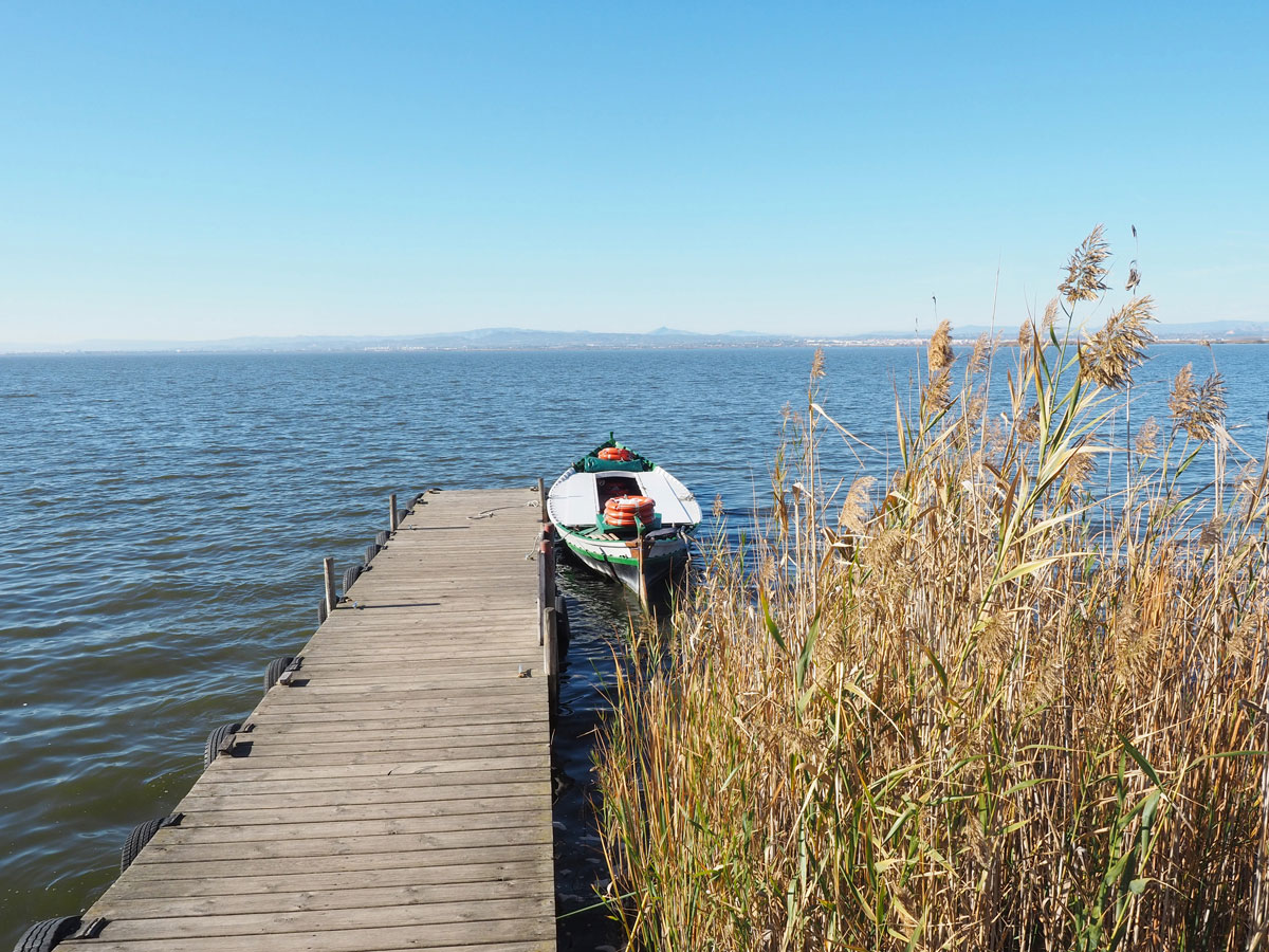 albufera park valencia 2 - Valencia erkunden - Reiseplanung, Highlights, Ausflugstipps