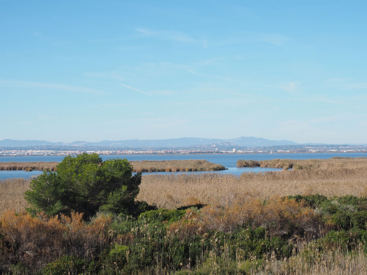 albufera park valencia 3 - Valencia erkunden - Reiseplanung, Highlights, Ausflugstipps