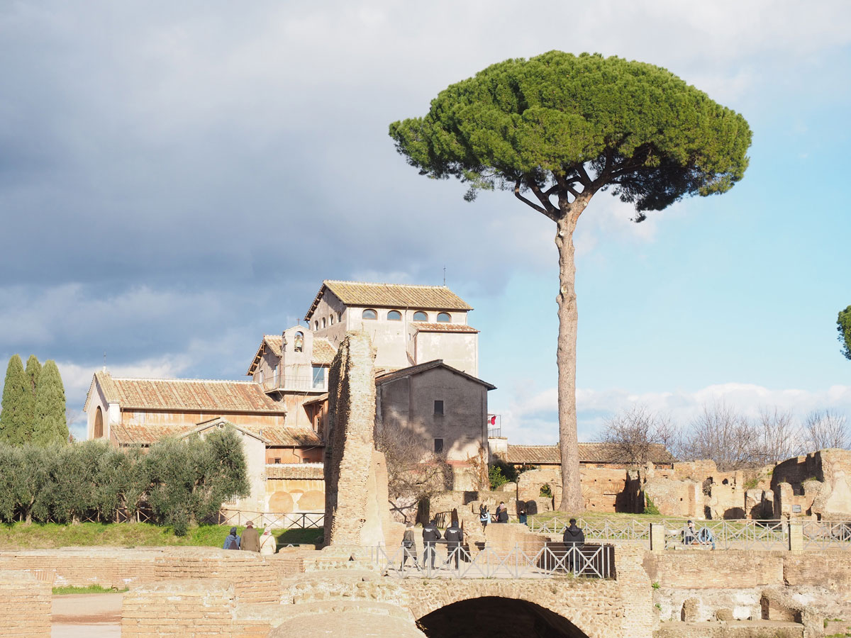 sehenswertes rom forum romanum 3 - Spaziergang durch Rom - Zu Fuß in Rom unterwegs - Sehenswertes und Reisetipps