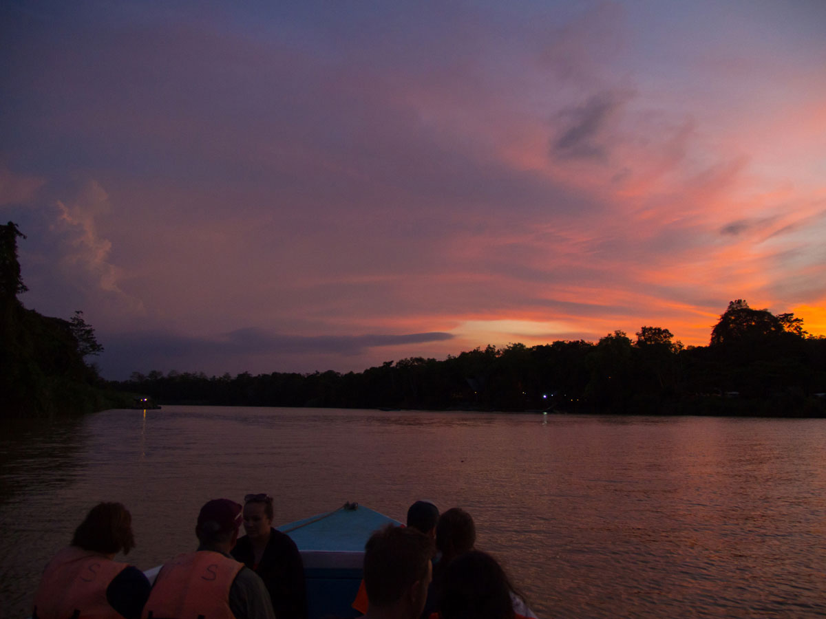 borneo kinabatangan river cruise erfahrungsbericht 1 - Warum ich keine Kinabatangan River Cruise mehr machen würde - Mein Erfahrungsbericht
