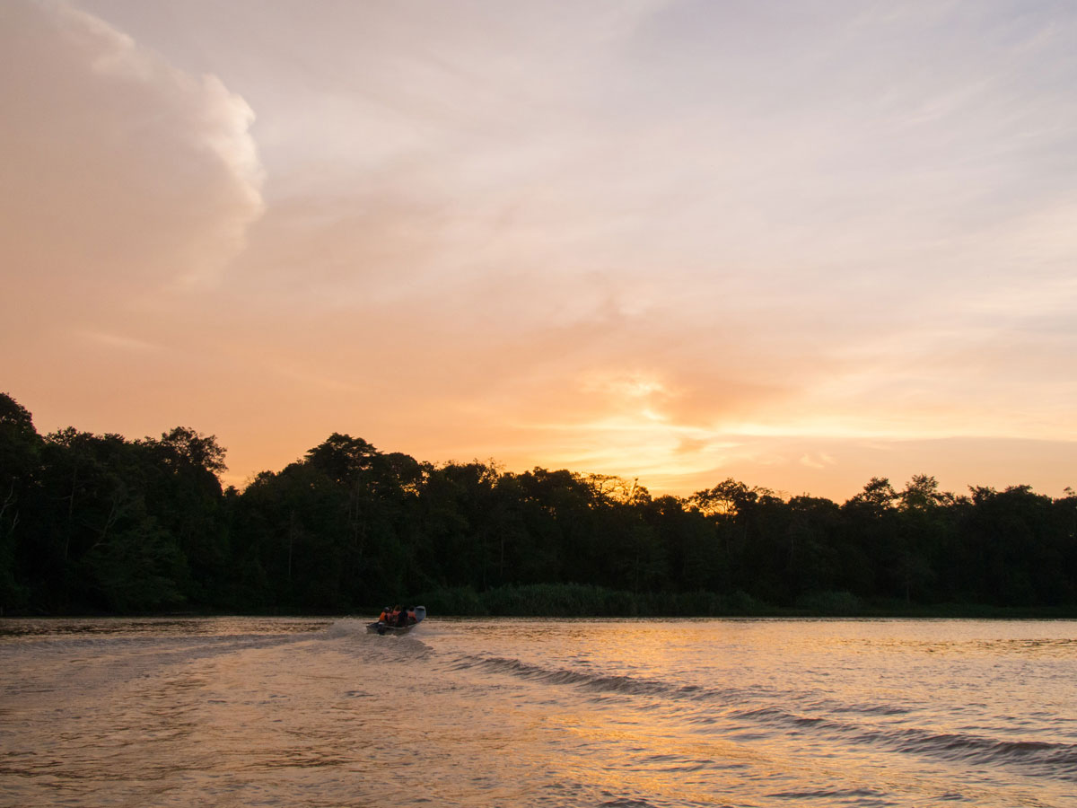borneo kinabatangan river cruise erfahrungsbericht 13 - Warum ich keine Kinabatangan River Cruise mehr machen würde - Mein Erfahrungsbericht
