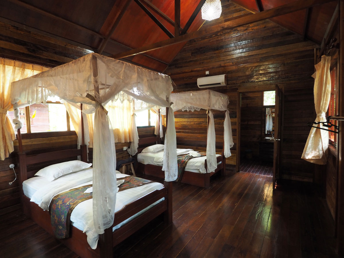 borneo kinabatangan river cruise erfahrungsbericht 2 - Warum ich keine Kinabatangan River Cruise mehr machen würde - Mein Erfahrungsbericht