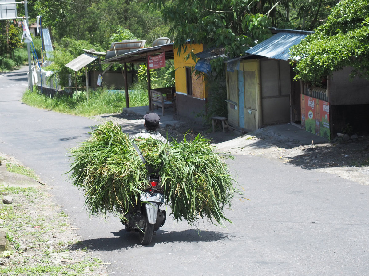 Transport auf der Insel Java in Indonesien