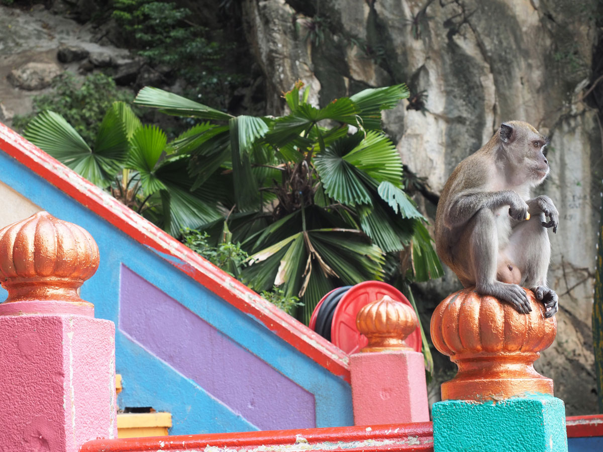 kuala lumpur malaysien batu caves 2 - Highlights für einen Stopover in Kuala Lumpur – Was ihr in 24 Stunden unbedingt sehen müsst