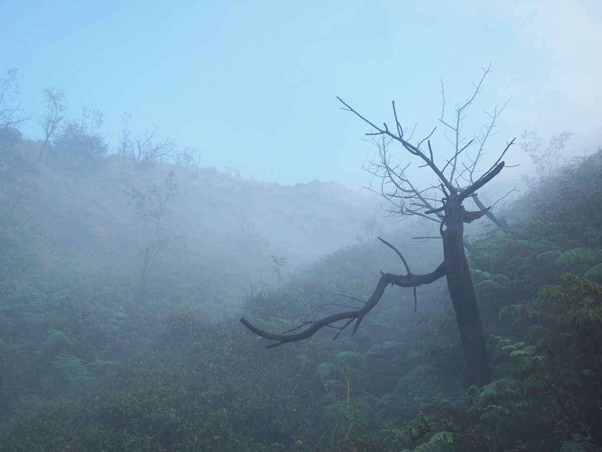 ijen java indonesien 18 - Blaue Feuer und Sonnenaufgang beim Mt. Ijen auf Java, Indonesien