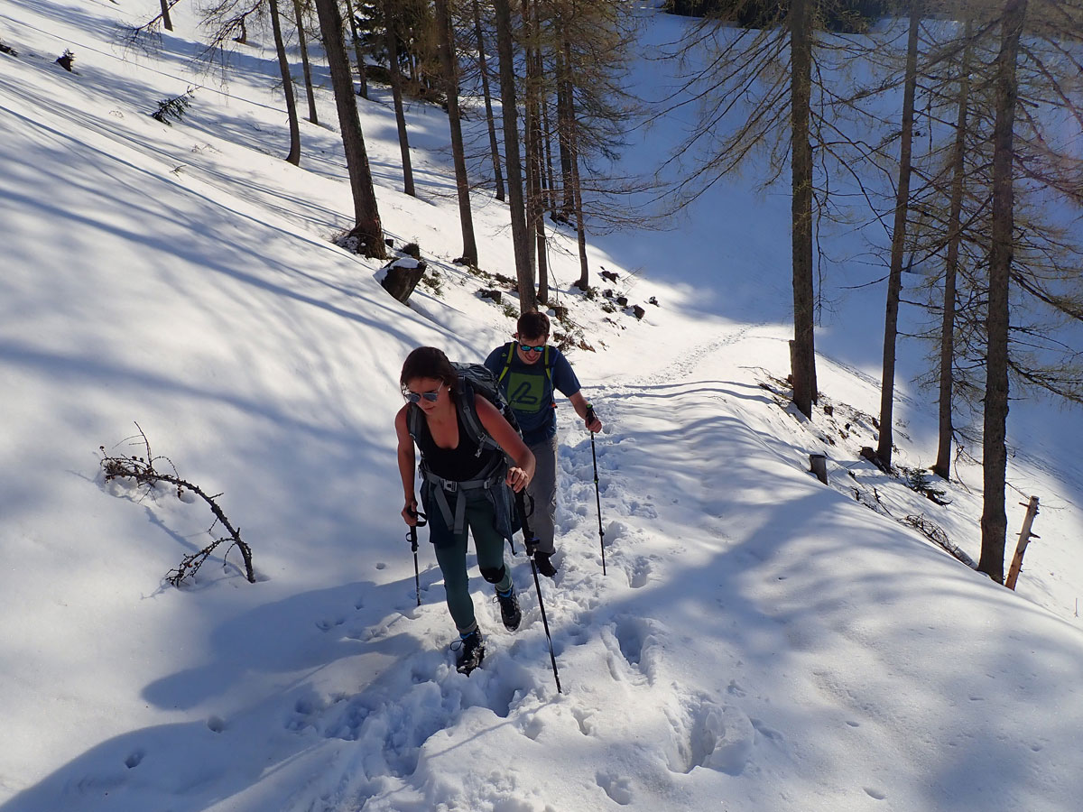 Schneeschuhwandern am Faistenauer Schafberg