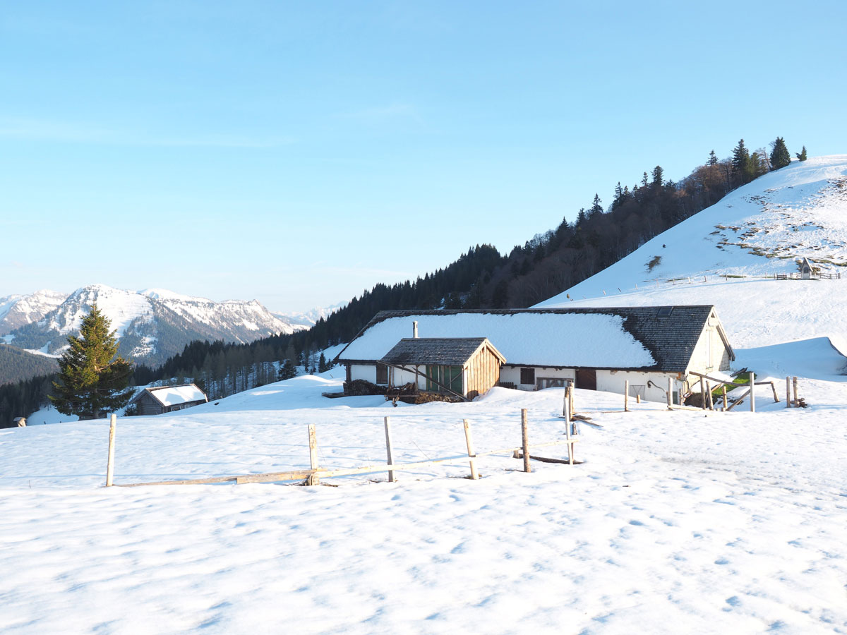 Lanznhütte und Mittereggalm Faistenauer Schafberg