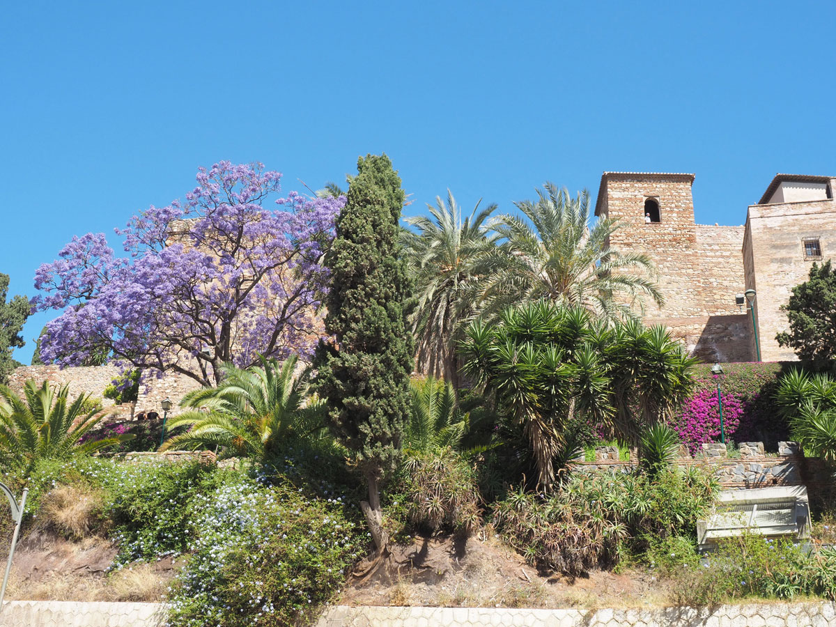 Castillo de Gibralfaro Malaga