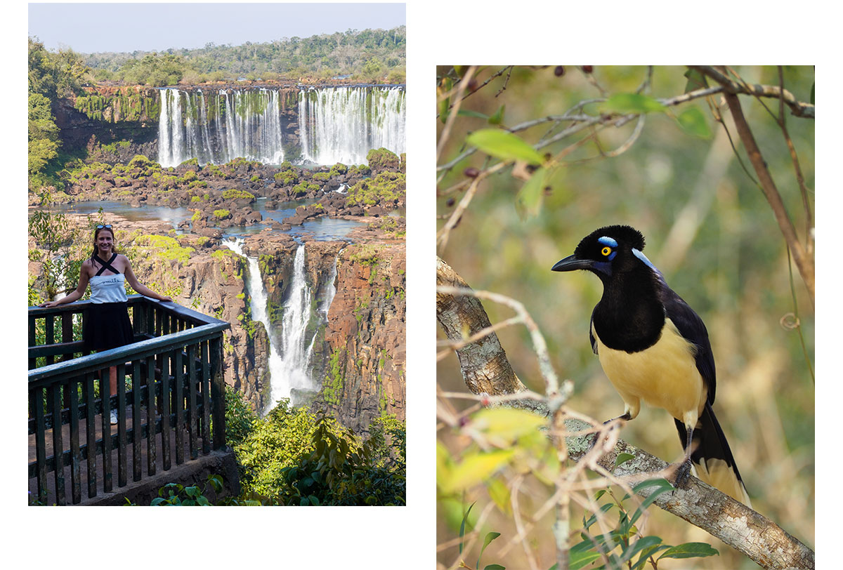 iguazu wasserfaelle argentinien brasilien reisetipps22 - Guide für einen Besuch der Iguazu Wasserfälle