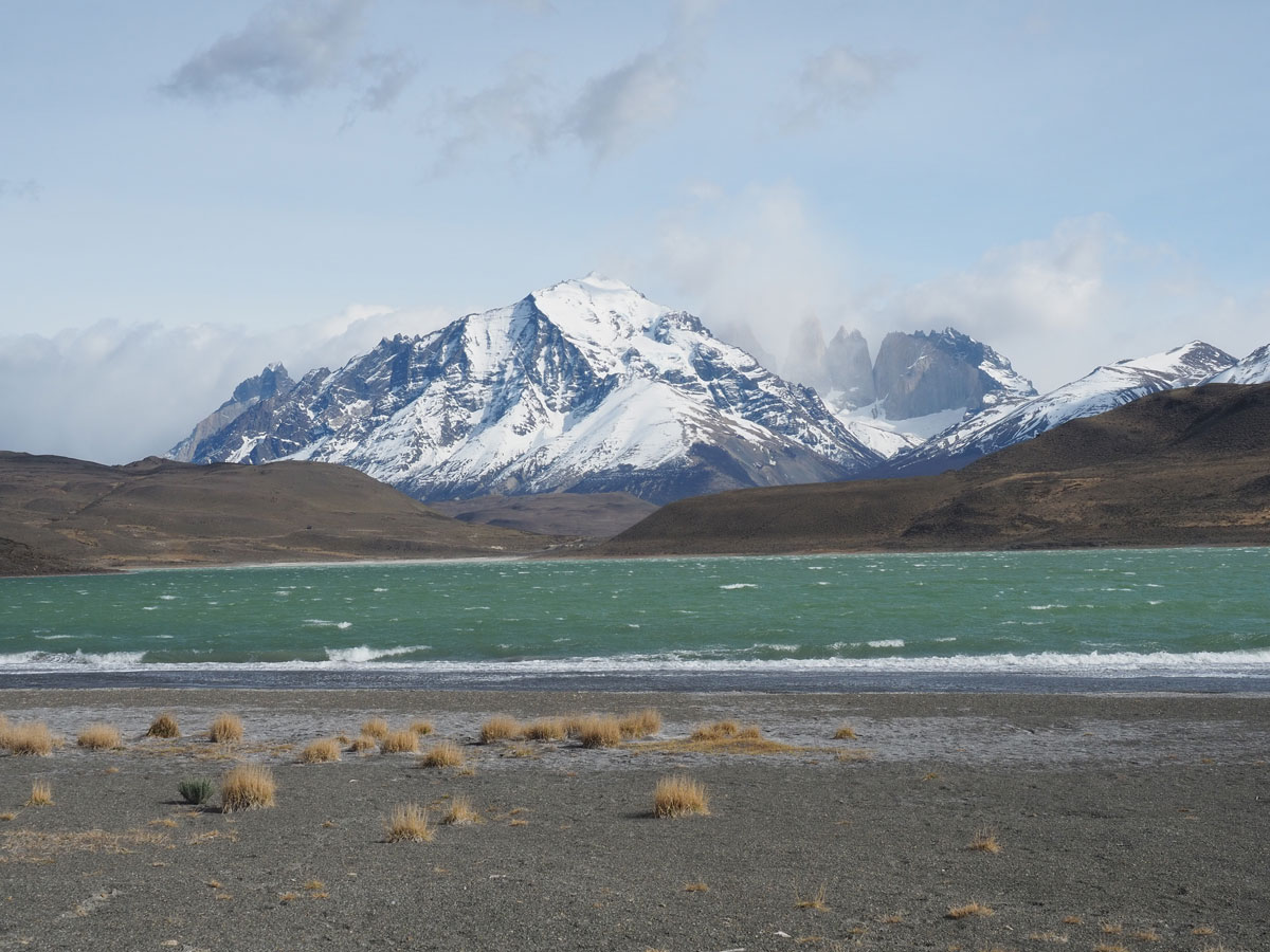 laguna amarga patagonien torres del paine nationalpark chile1 - Patagonien im Überblick - ein Reiseguide für deine Planung