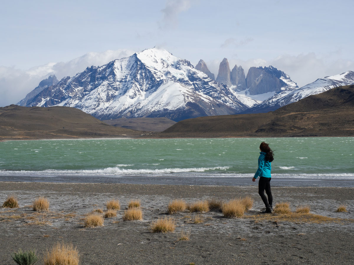 laguna amarga patagonien torres del paine nationalpark chile2 - Torres del Paine Nationalpark ohne W Trek