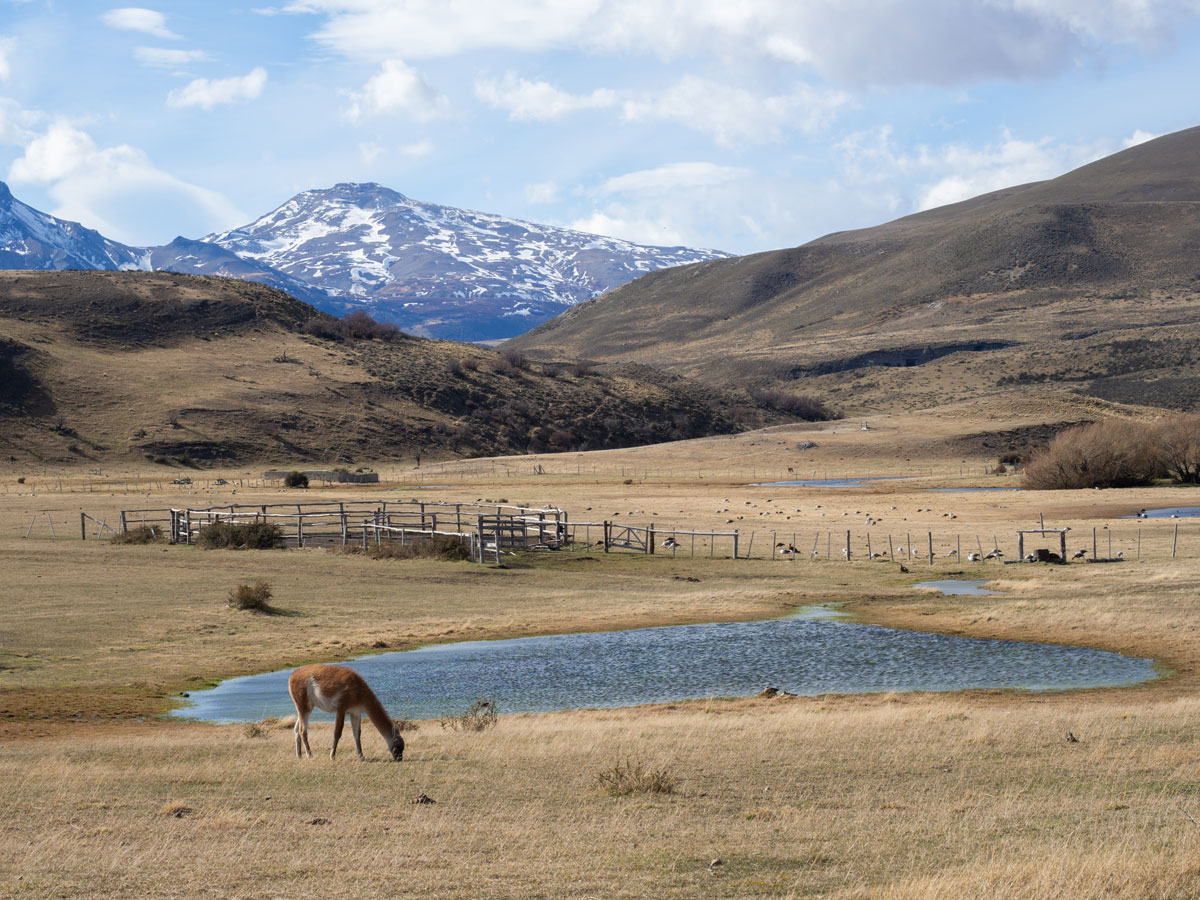 laguna azul patagonien torres del paine nationalpark chile2 - Torres del Paine Nationalpark ohne W Trek