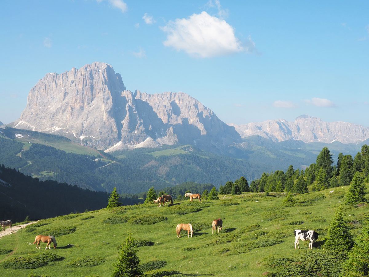 seceda groeden suedtirol dolomiten wandern 17 - Wandern auf die Seceda von Wolkenstein - Sonnenaufgang auf der Seceda