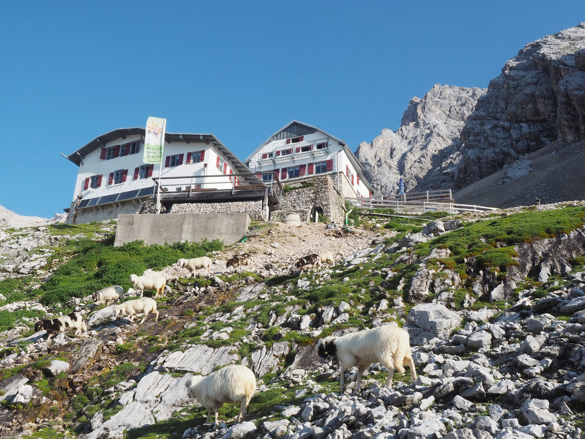 Die Knorrhütte