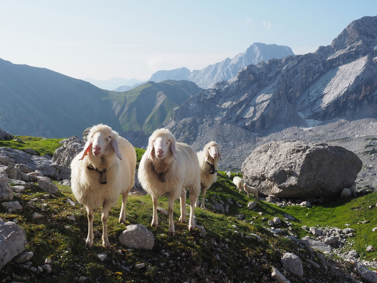 zugspitze ueber reintalangerhuette 13 - Meine schönsten Reisefotos 2019 - Fotoparade