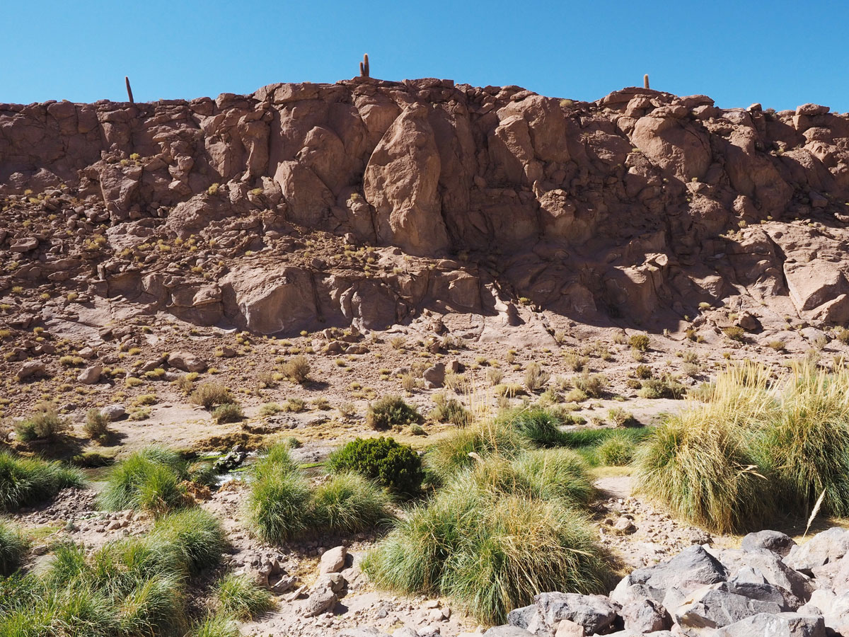 atacama chile 2 - Als Selbstfahrer in der Atacama Wüste in Chile unterwegs