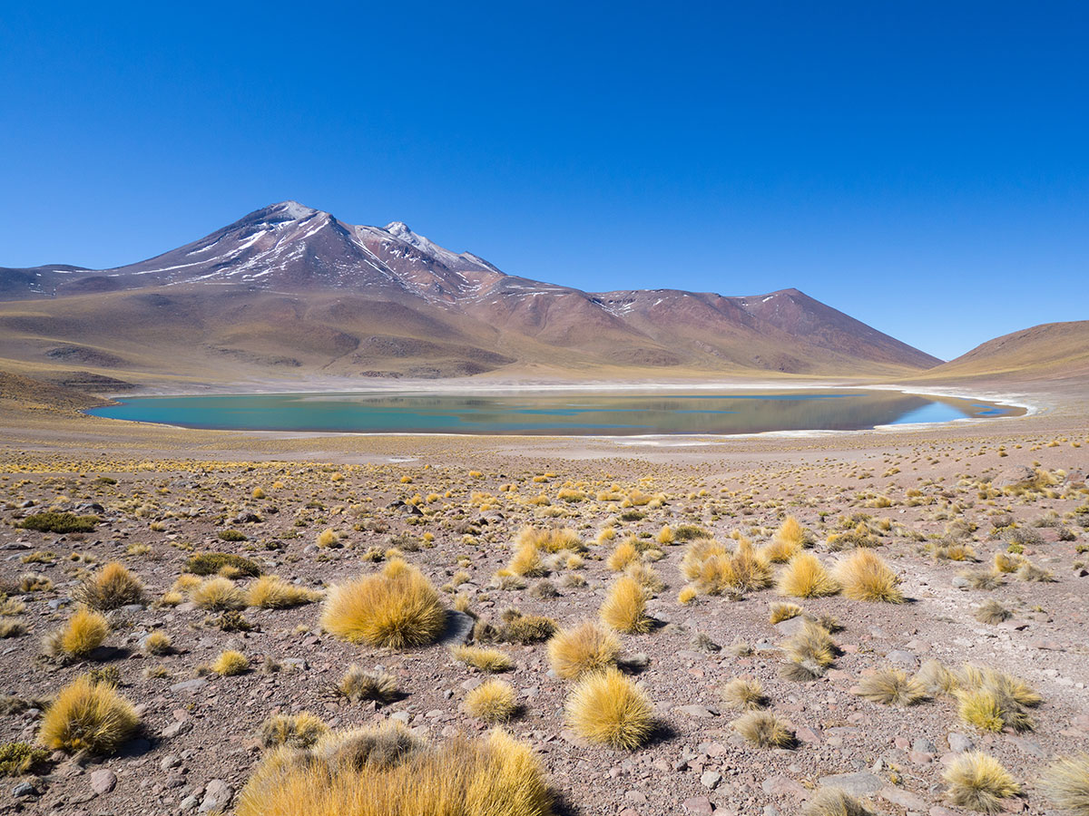 atacama chile laguna miscanti miniques - Als Selbstfahrer in der Atacama Wüste in Chile unterwegs