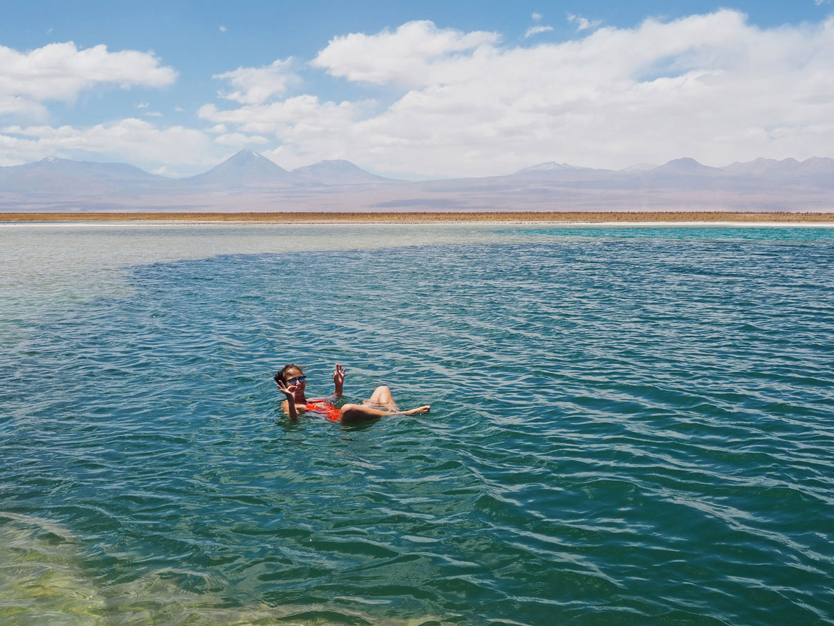 atacama laguna cejar 2 - Als Selbstfahrer in der Atacama Wüste in Chile unterwegs