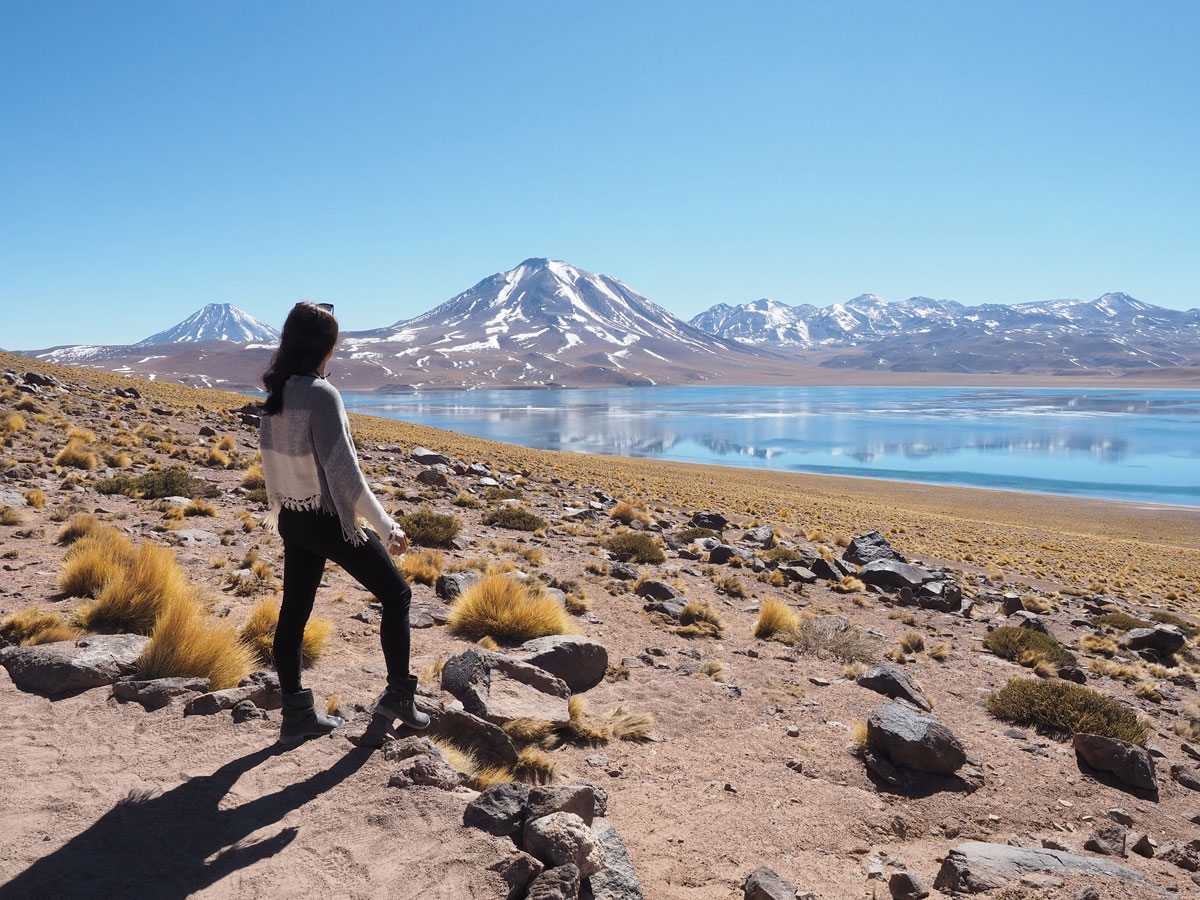 atacama miniques miscanti 1 - Als Selbstfahrer in der Atacama Wüste in Chile unterwegs