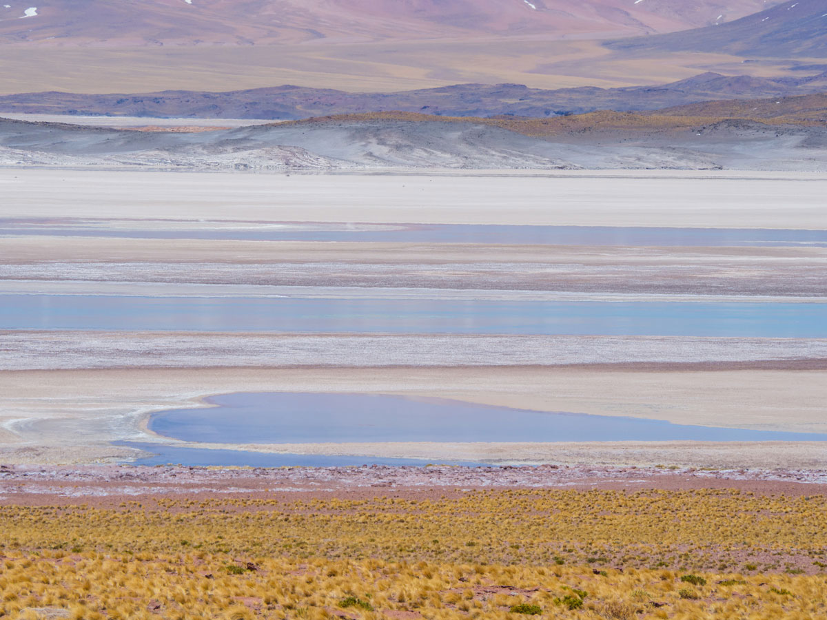 atacama piedras rojas 5 - Als Selbstfahrer in der Atacama Wüste in Chile unterwegs