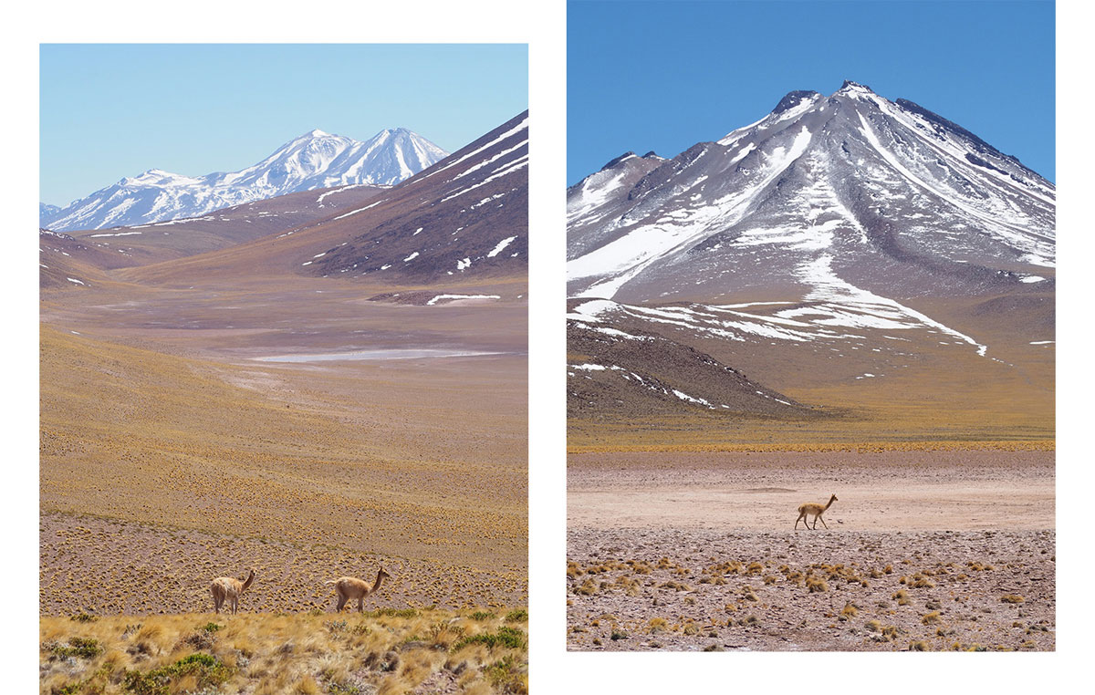 miniques vulkan - Als Selbstfahrer in der Atacama Wüste in Chile unterwegs