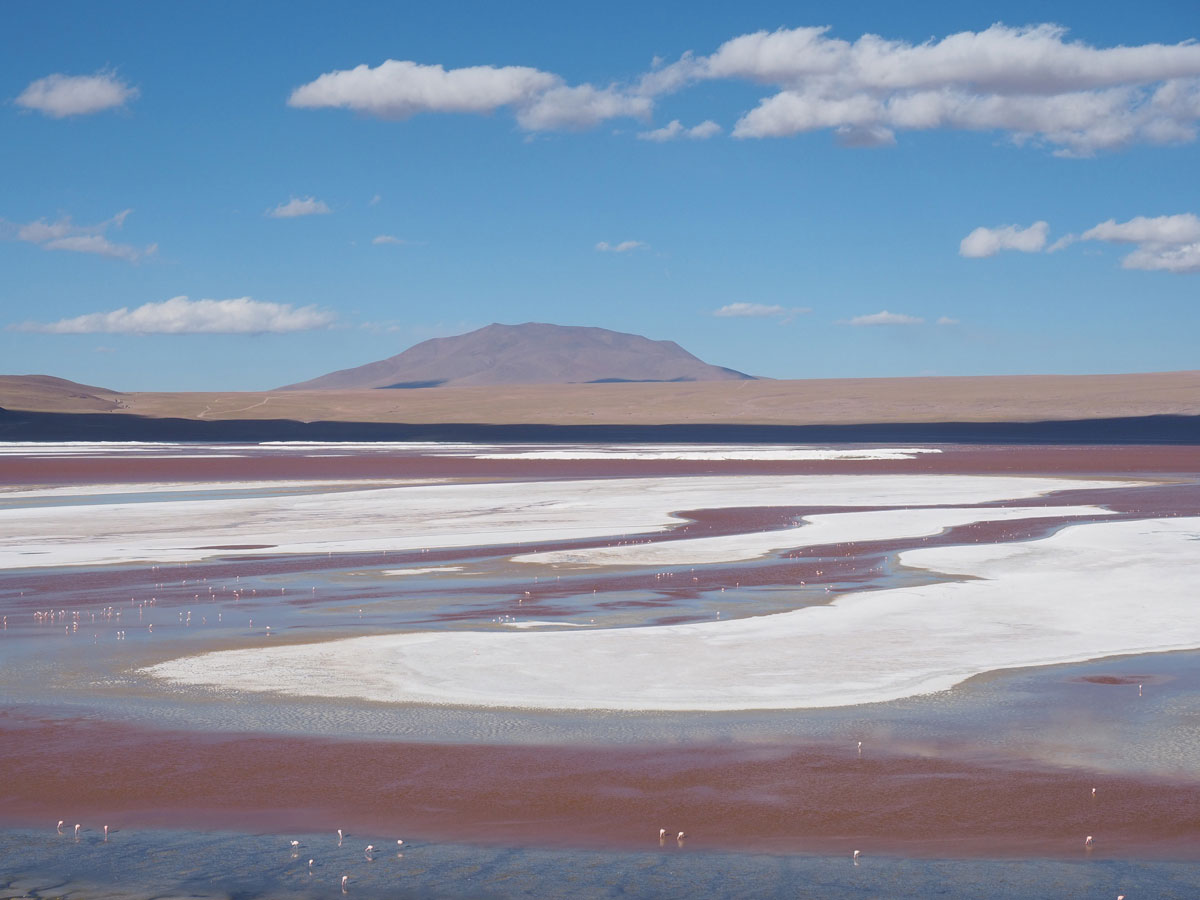 salar de uyuni laguna colorada tour bolivien 20 - Ausflug in die Salar de Uyuni und Laguna Colorada in Bolivien